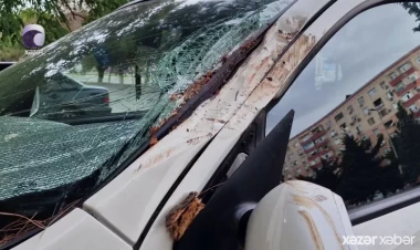 Qeyri-sabit hava şəraiti ağır fəsadlar törətdi - VİDEO - FOTO