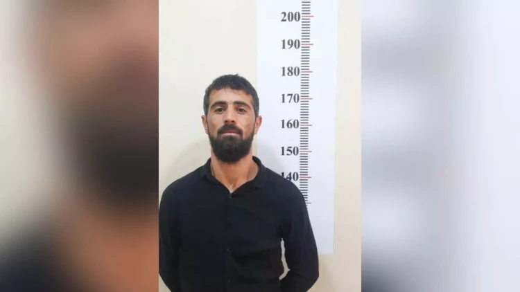 Gəncədə avtoxuliqanlıq edən şəxs həbs olundu - FOTO