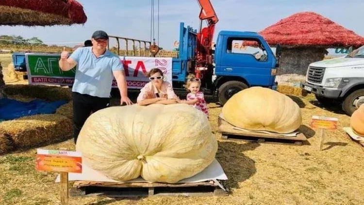 600 kiloqramlıq balqabaq yetişdirildi