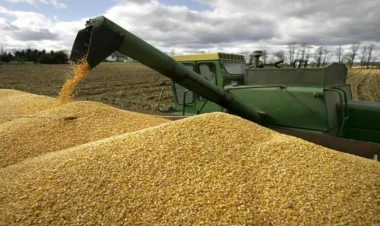 Rusiya və Türkiyə taxıl barədə razılığa gəldi