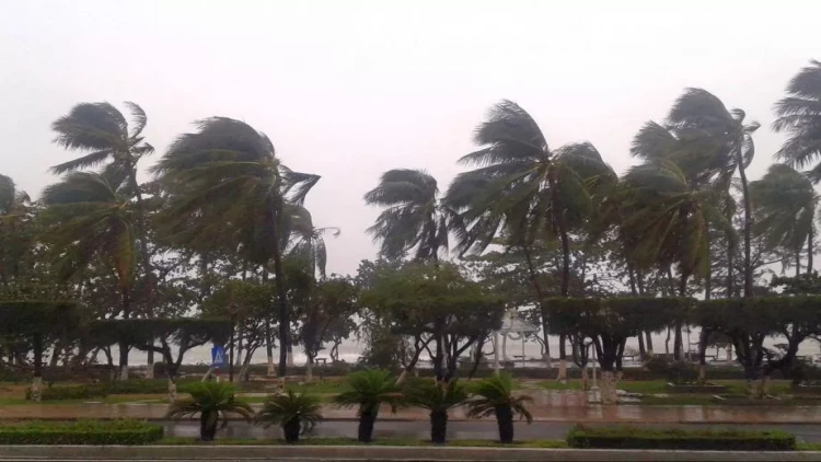 Güclü qasırğa 200-dən çox aviareysi təxirə saldırdı