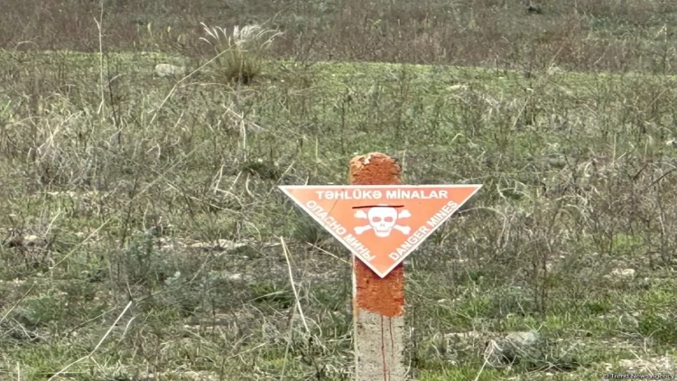 Bu qədər ərazi minadan təmizlənib - ANAMA sədri