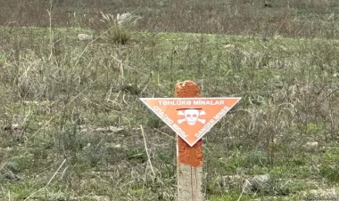 Bu qədər ərazi minadan təmizlənib - ANAMA sədri