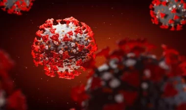 Bir ay ərzində COVID-19-a yoluxma hallarının sayı artdı