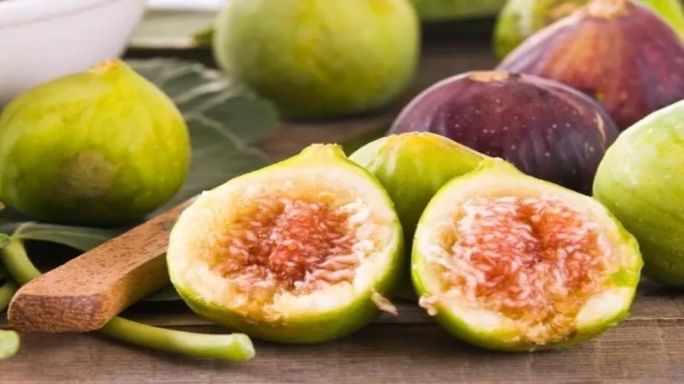 Ürəyimizin “dostu