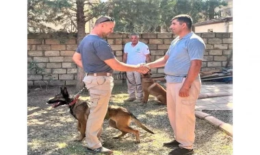 ABŞ Azərbaycana daha 5 minaaxtaran it göndərib - FOTO