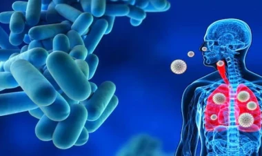 Polşada ən azı səkkiz nəfər “legionellyoz”dan ölüb