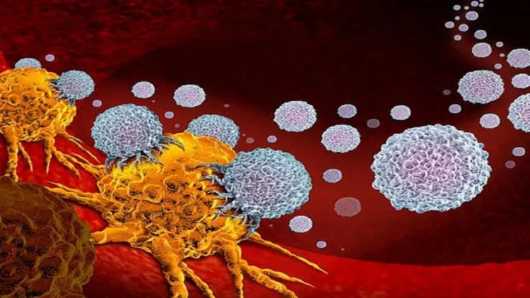 Gündə 5 dəqiqə yetər, xərçəng riskini AZALDIR