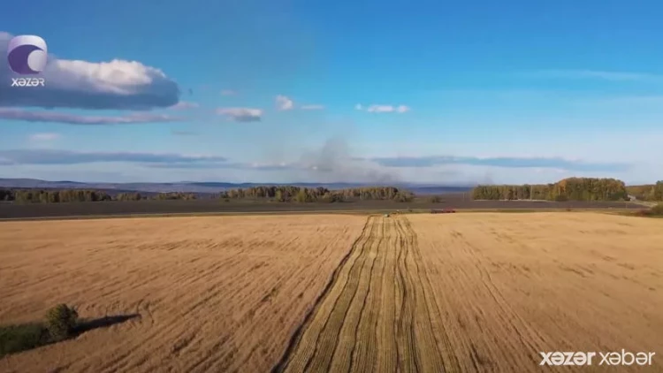 Rusiya taxılın ixrac rüsumunu ARTIRDI... -  Azərbaycana təsiri necə olacaq? - VİDEO