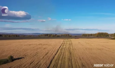 Rusiya taxılın ixrac rüsumunu ARTIRDI... -  Azərbaycana təsiri necə olacaq? - VİDEO