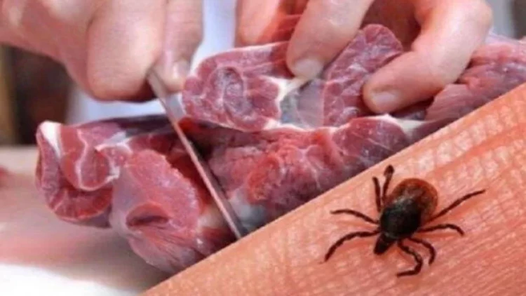 İranda Krım-Konqo qızdırması virusu yayıldı: Ölənlər var - FOTO