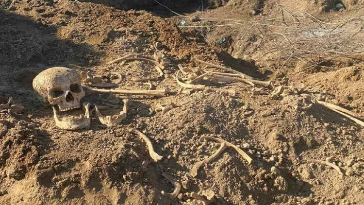 İtkin düşən teleaparıcının skeleti tapıldı