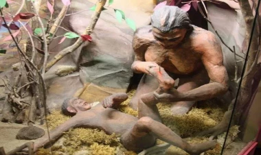 Adəm və Həvva təkzib olunur? - İnsan nə vaxt və necə yaranıb? -  MARAQLI FAKTLAR