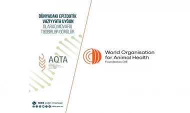 Rusiya və Şotlandiyadan bu məhsulların idxalına məhdudiyyət qoyuldu