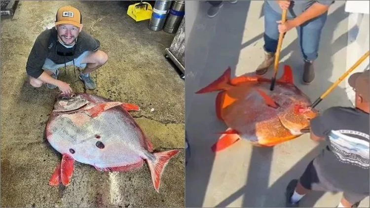 İlk dəfə balıq tutmağa getdi və dünya rekordunu qırdı - FOTO