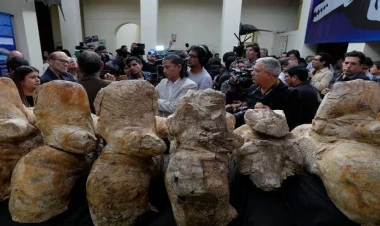 Yer kürəsinin ən nəhəng canlısı - FOTO