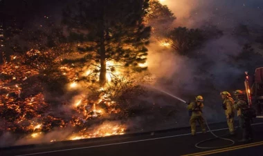Meşə yanğını şəhərə yaxınlaşır: təxliyə əmri verildi