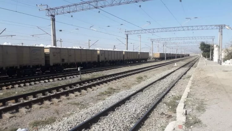 Salyanda qatar qadını vuraraq öldürüb