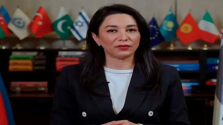 Altı meyit qalığının qarın nahiyəsində mismarlar aşkarlanıb - Ombudsmandan kütləvi məzarlıqla bağlı AÇIQLAMA