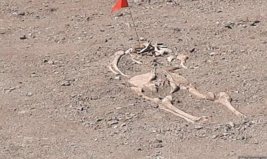 Aİ missiyası Ermənistanı İFŞA ETDİ - Yalandır... - FOTO