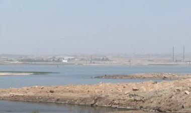 Zığ gölünün təmizlənməsi niyə gecikdirilir? - VİDEO