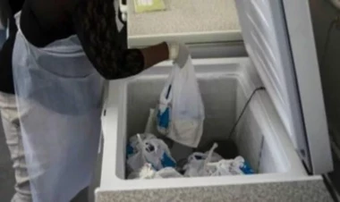 Soyuducudan 34 cəsəd tapıldı - TÜKÜRPƏDƏN HADİSƏ