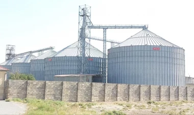 Xızıda işçilər dəyirmanda nədən ZƏHƏRLƏNDİ? - TƏFƏRRÜATLAR