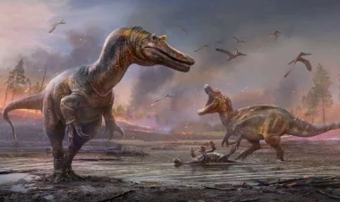 Dinozavrların yaşıdı olan canlı tapıldı