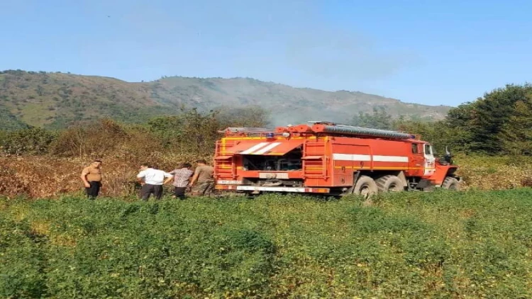 Qəbələdə bu ərazi xüsusi nəzarətə götürüldü