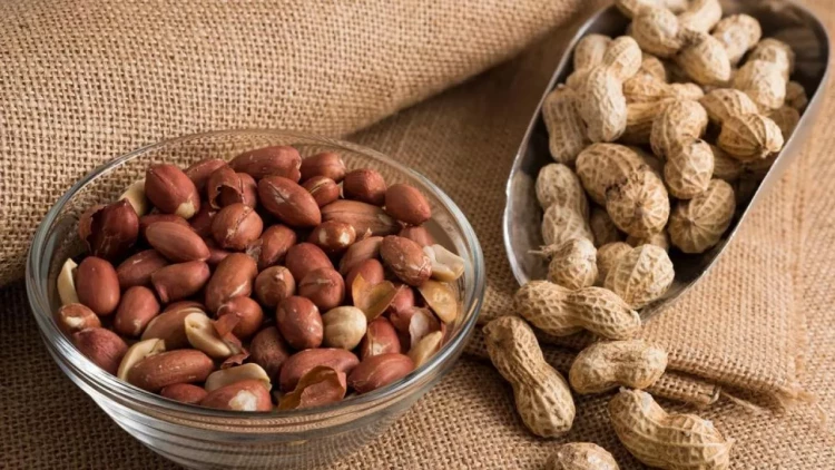 Hindistandan gətirilən yerfındığı zay çıxdı