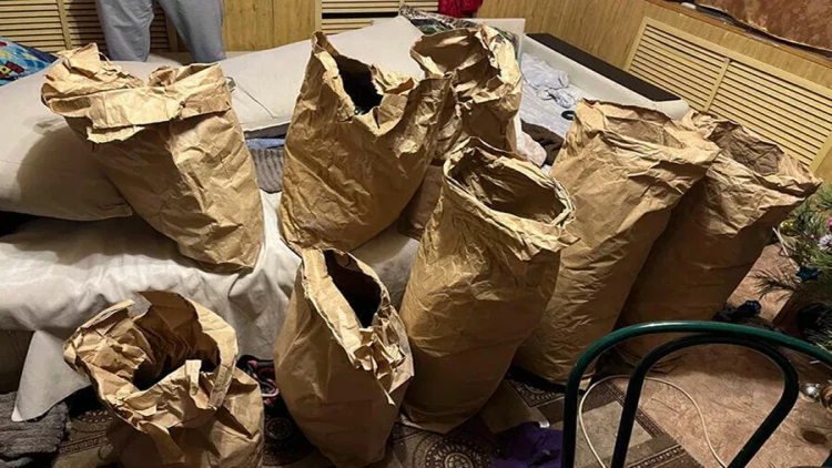 600 milyon avro dəyərində kokain məhv edildi