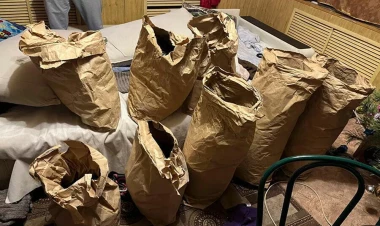 600 milyon avro dəyərində kokain məhv edildi