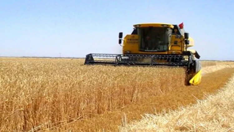 Rusiya Afrikaya pulsuz taxıl göndərəcək