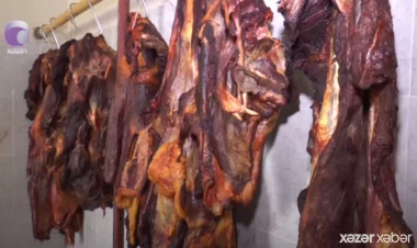 300 kiloqram xəstə atları KƏSİB SATDILAR - VİDEO