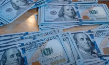 Erməni blogger məmurları və oliqarxları BİABIR ETDİ... - FAKTLAR...  - VİDEO