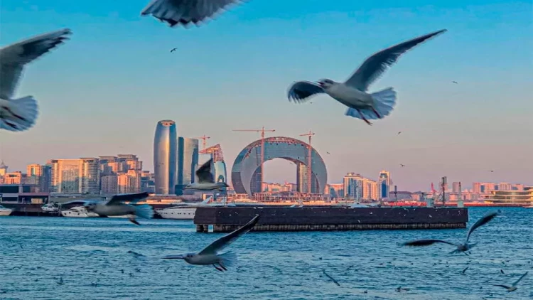 Bakıda hava küləkli olacaq, dağlıq ərazilərə yağış yağacaq