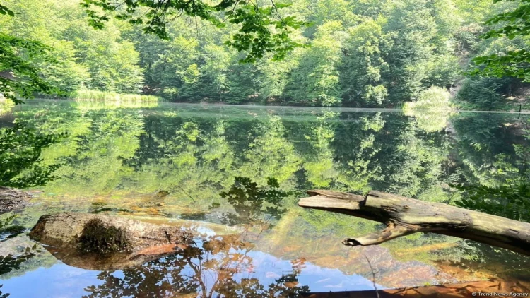 Təbiətin əsrarəngiz möcüzəsi Qaranohur gölündən REPORTAJ