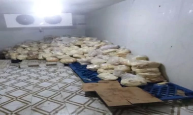 Bakıda qanunsuz fəaliyyət göstərən pendir anbarı aşkarlandı - FOTO