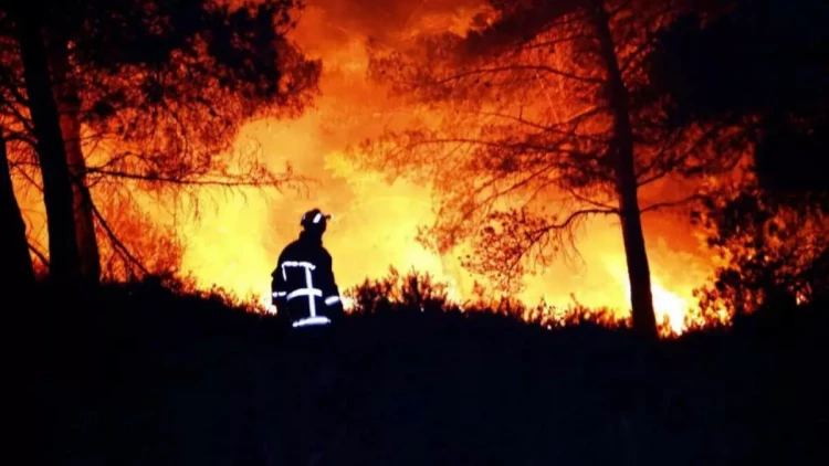 Antalyada meşə yanğını