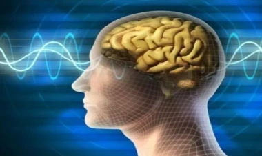 40 yaşdan sonra yaddaşı yaxşılaşdıran sadə qidalar