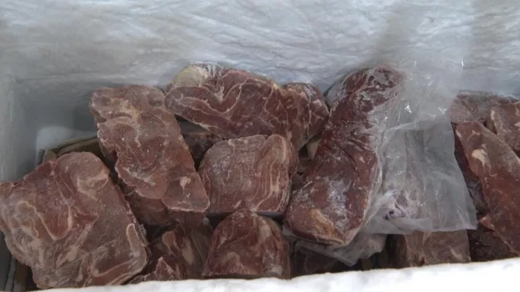 Şadlıq saraylarında mənşəyi məlum olmayan ətlər aşkarlandı - VİDEO