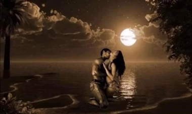 Avqust üçün sevgi ULDUZ FALI Tənhaları duyğuların partlaması gözləyir