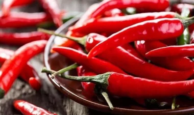 Acı bibərin faydası, yoxsa zərəri daha çoxdur?