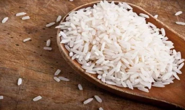 Rusiyada düyü ixracına qadağa qoyulub