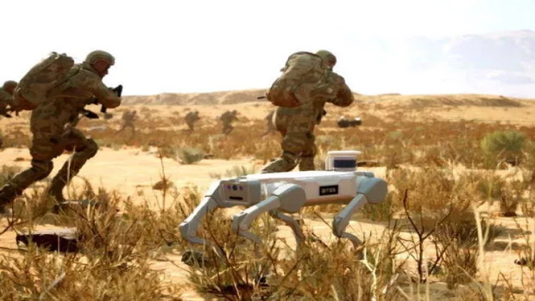 “Mehmetcik”lərin yeni dostu - “Keçi” - FOTO - VİDEO