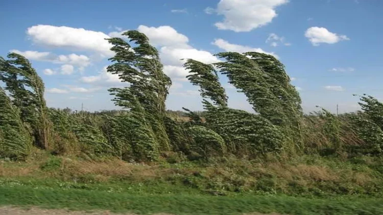 Bakıda güclü külək əsəcək