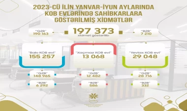 Bu ilin I yarısında KOB evlərində sahibkarlara 197 mindən çox xidmət göstərilib