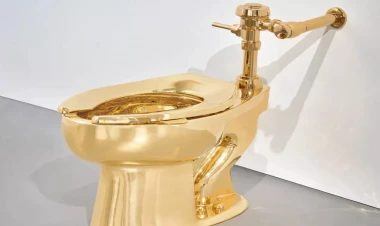 Bu unitaz 10 min dollara satışa çıxarıldı - Qızıldandır