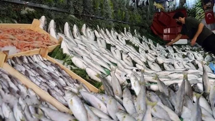 Noyabrın faydalı balıqları məlum oldu