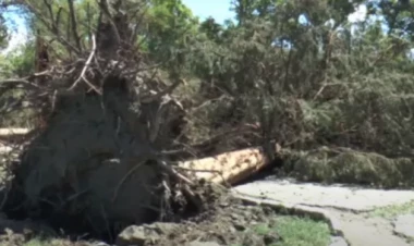 Təbiət bölgələri 